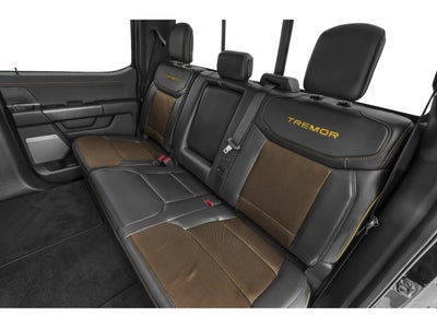 2021 Ford F-150 Tremor