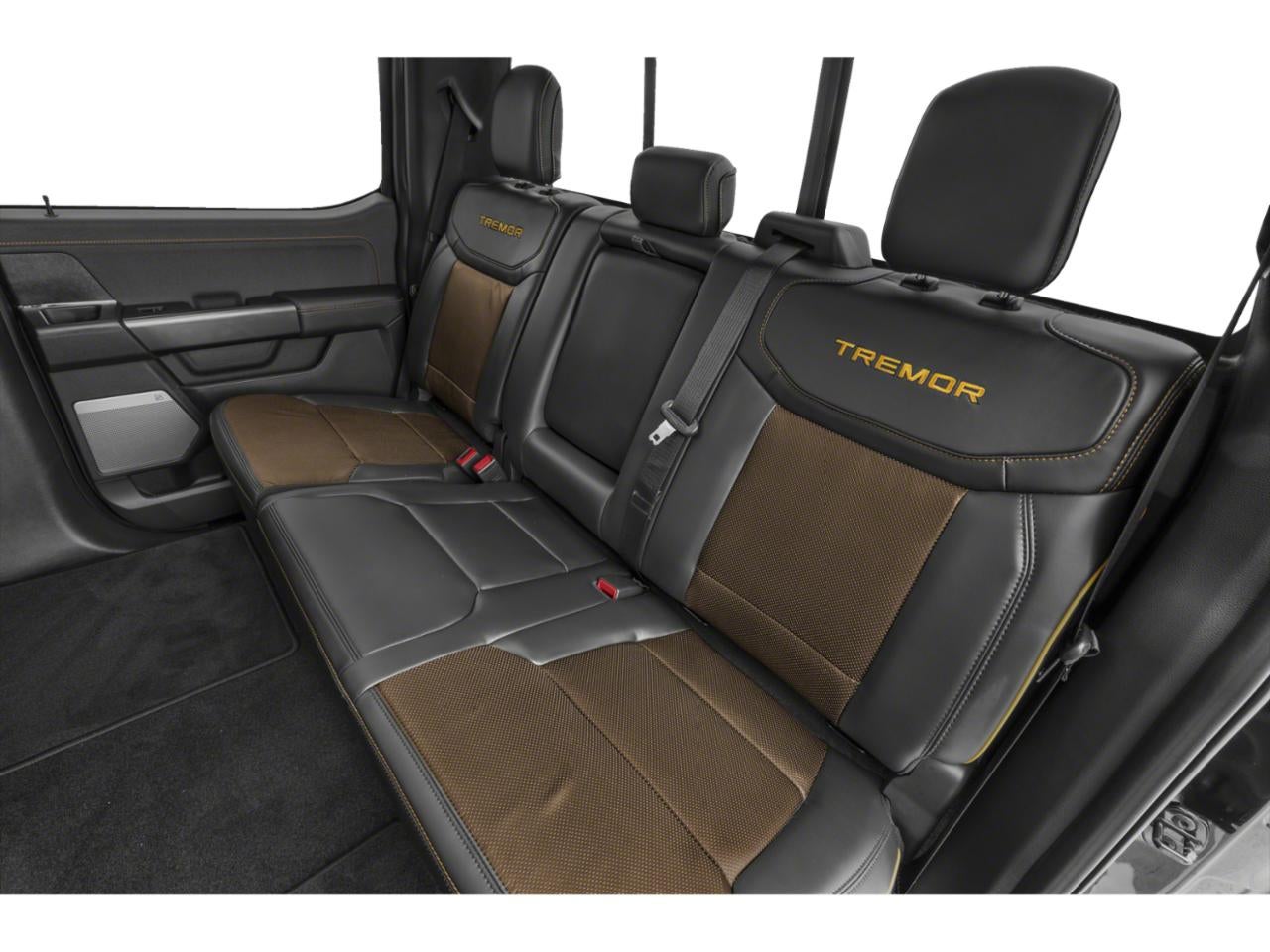 2021 Ford F-150 Tremor