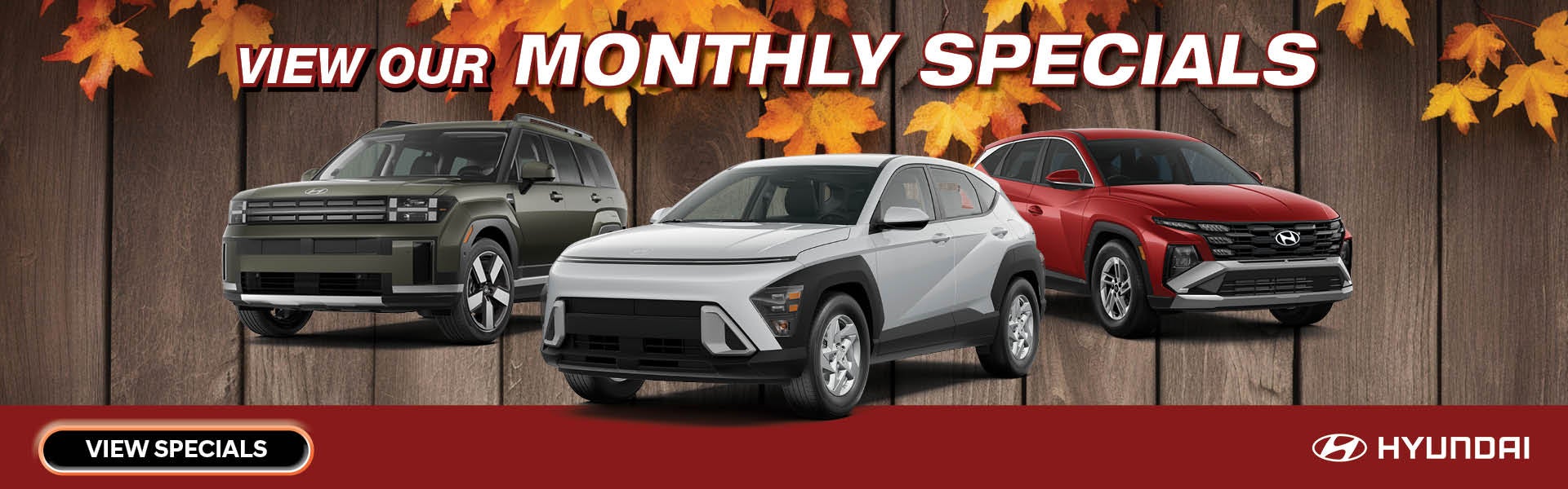 View Our Monthly Specials